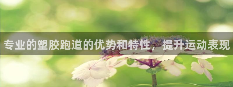 尊龙官网注册：专业的塑胶跑道的优势和特性，提升运动表现