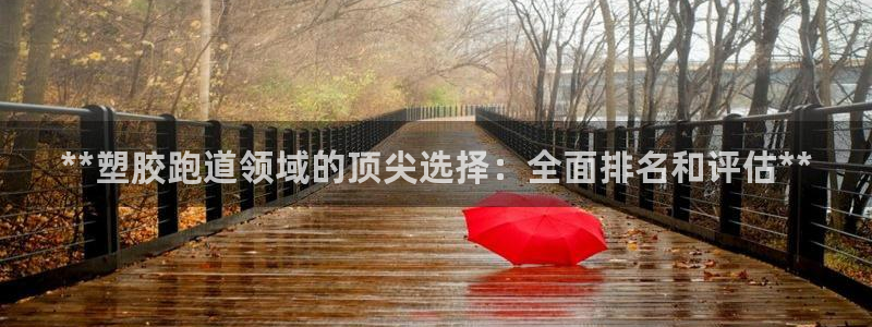尊龙凯时网娱乐官网：**塑胶跑道领域的顶尖选择：全面排名和评估**
