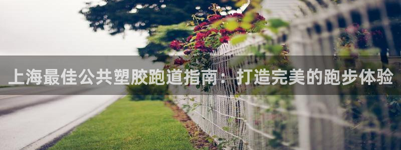 凯时app官方首页：上海最佳公共塑胶跑道指南：打造完美的跑步体验