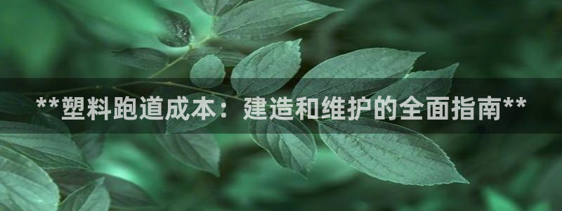新版尊龙99：**塑料跑道成本：建造和维护的全面指南**