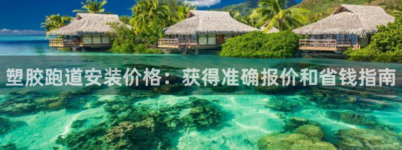 尊龙d88现金旧版本：塑胶跑道安装价格：获得准确报价和省钱指南