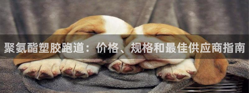 国际凯时ag优质运营商：聚氨酯塑胶跑道：价格、规格和最佳供应商指南