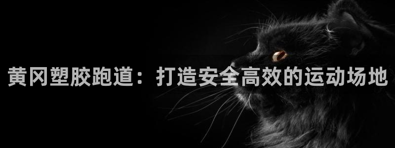 尊龙凯时正规吗：黄冈塑胶跑道：打造安全高效的运动场地