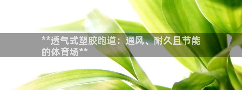 凯时kb88·中国官方网站：**透气式塑胶跑道：通风、耐久且节能
的体育场**
