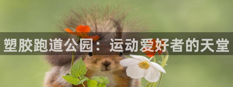 尊龙凯时官方网站下载：塑胶跑道公园：运动爱好者的天堂