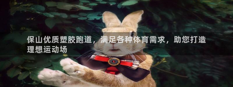 尊龙网址登录官网：保山优质塑胶跑道，满足各种体育需求，助您打造
理想运动场