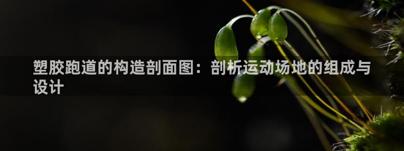 尊龙凯时网娱乐官网：塑胶跑道的构造剖面图：剖析运动场地的组成与
设计