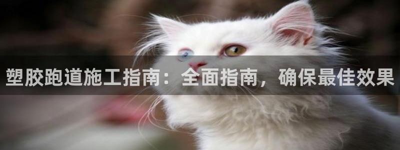 尊龙凯时充十万返现多少：塑胶跑道施工指南：全面指南，确保最佳效果