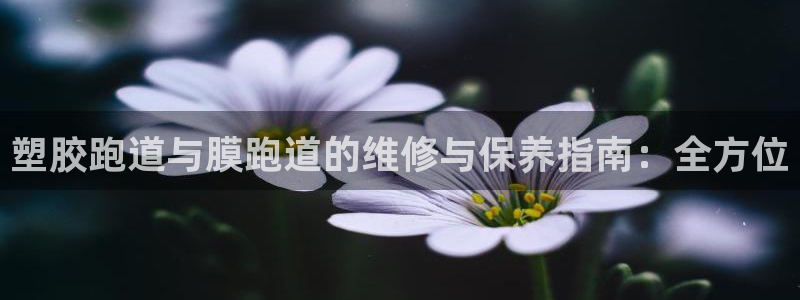 尊龙信息科技有限公司：塑胶跑道与膜跑道的维修与保养指