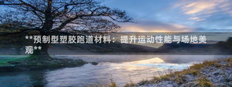 尊龙z6：**预制型塑胶跑道材料：提升运动性能与场地美
观**