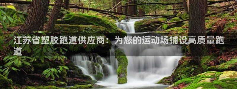 尊龙 6：江苏省塑胶跑道供应商：为您的运动场铺设高质量跑
道