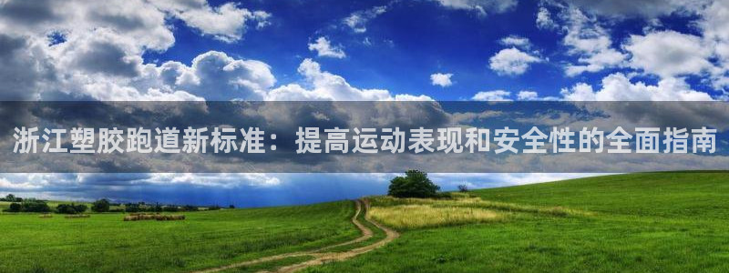 尊龙网站下分慢：浙江塑胶跑道新标准：提高运动表现和安全性的全面指南