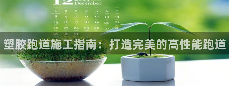 尊龙D88现金旧版：塑胶跑道施工指南：打造完美的高性