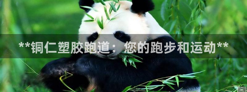 尊龙新版手机app下载：**铜仁塑胶跑道：您的跑步和运动**