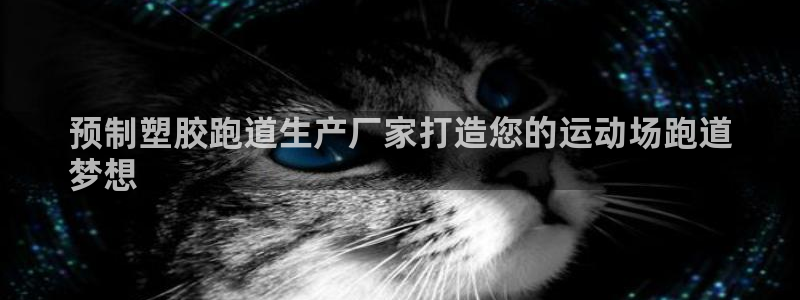 凯时ag旗舰厅：预制塑胶跑道生产厂家打造您的运动场跑道
梦想
