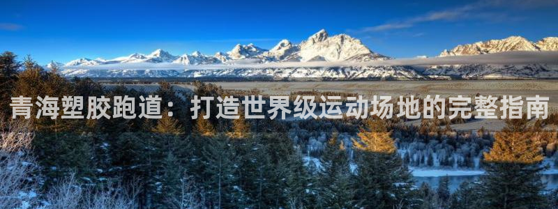 尊龙凯时不给提款：青海塑胶跑道：打造世界级运动场地的完整指南