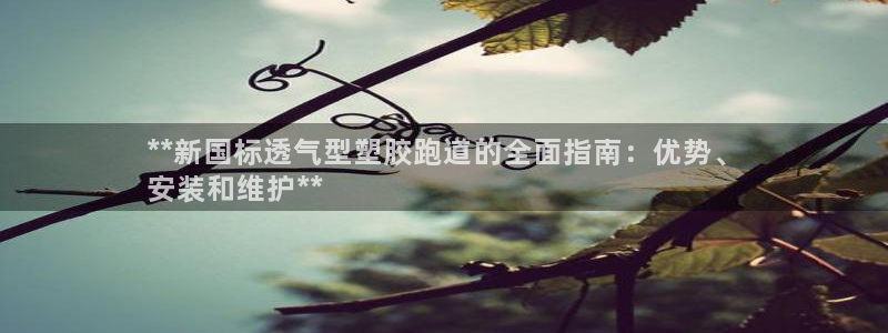 尊龙凯时存款多久到账：**新国标透气型塑胶跑道的全面指南：优势、
安装和维护**