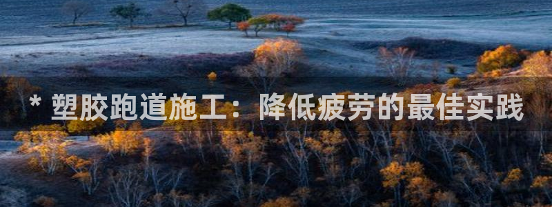 尊龙凯时正规吗：* 塑胶跑道施工：降低疲劳的最佳实践
