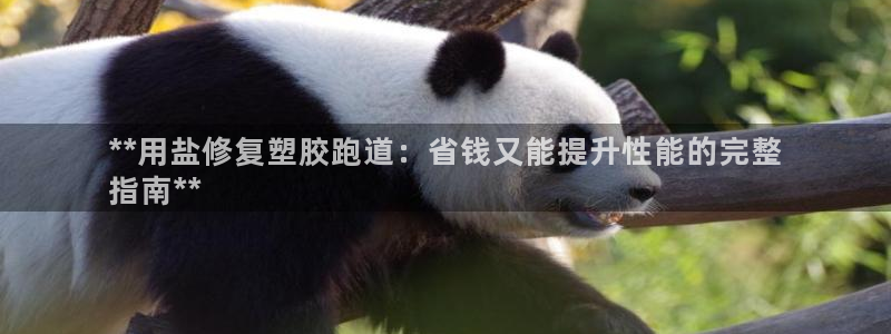 尊龙t600：**用盐修复塑胶跑道：省钱又能提升性能的完整
指南**