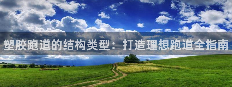 尊龙平台有谁玩过：塑胶跑道的结构类型：打造理想跑道全指南