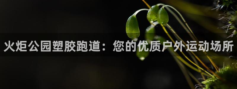 尊龙凯时app安装：火炬公园塑胶跑道：您的优质户外运动场所
