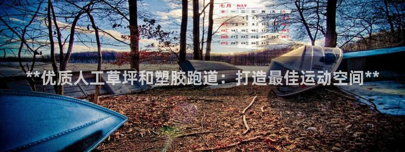 尊龙d88手机app免费下载：**优质人工草坪和塑胶