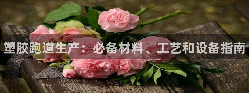 尊龙体育游戏平台