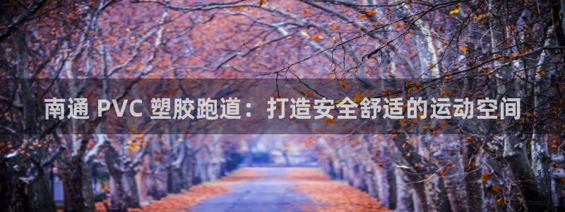 尊龙凯时ag旗舰厅登陆：南通 PVC 塑胶跑道：打造安全舒适的运动空间