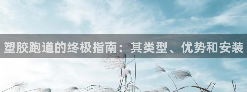 尊龙凯时一人生就是博登入：塑胶跑道的终极指南：其类型、优势和安装