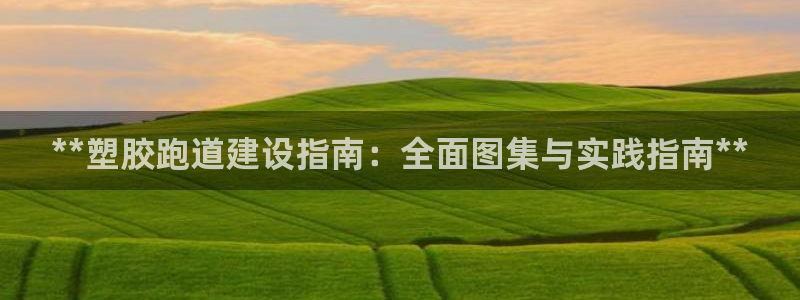 尊龙凯时人生就是搏·(中国)官网：**塑胶跑道建设指南：全面图集与实践指南**