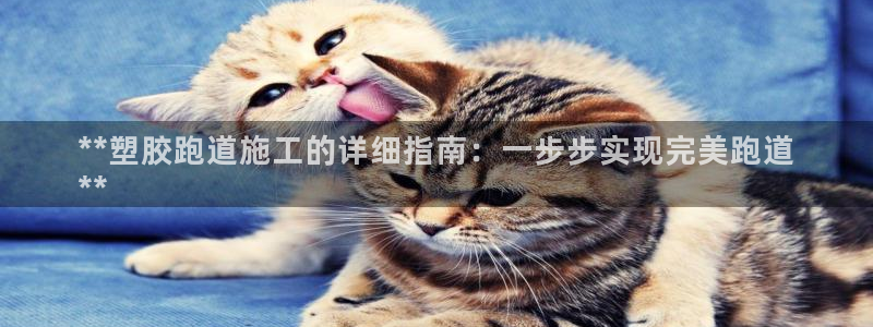 尊龙多少岁：**塑胶跑道施工的详细指南：一步步实现完美跑道
**