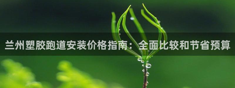 尊龙凯时企业文化：兰州塑胶跑道安装价格指南：全面比较
