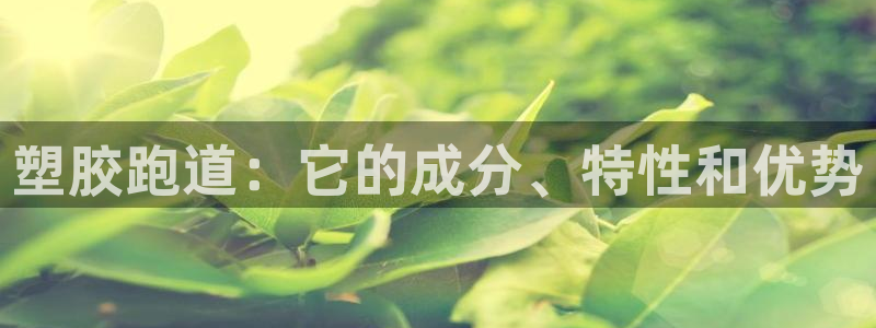 尊龙凯时怎么注册：塑胶跑道：它的成分、特性和优势