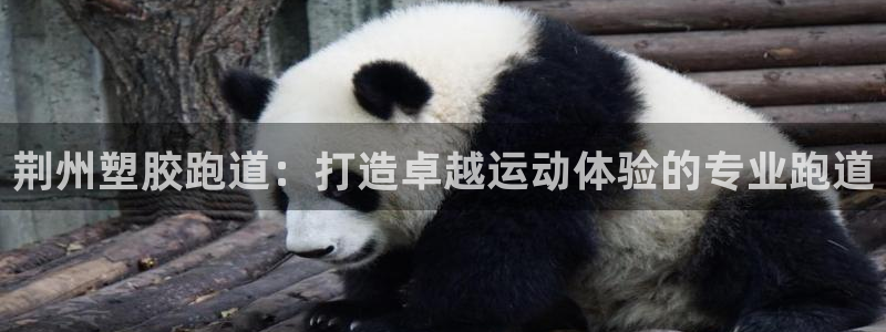 尊龙凯时邀请码：荆州塑胶跑道：打造卓越运动体验的专业跑道
