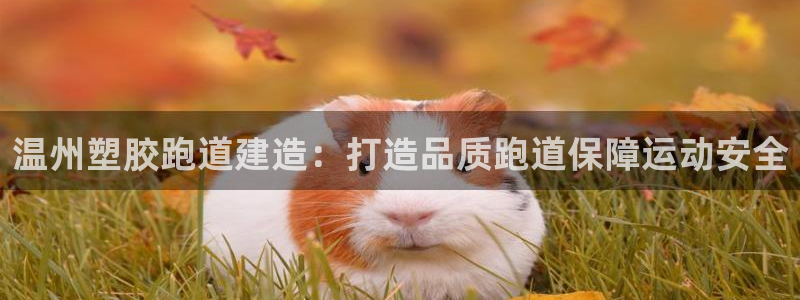 尊龙人生就是搏：温州塑胶跑道建造：打造品质跑道保障运动安全