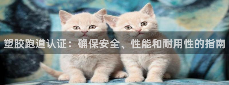 尊龙官网注册：塑胶跑道认证：确保安全、性能和耐用性的