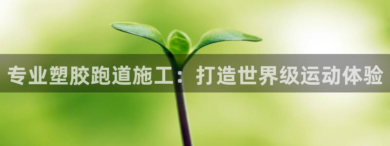 尊龙人品怎么样：专业塑胶跑道施工：打造世界级运动体验