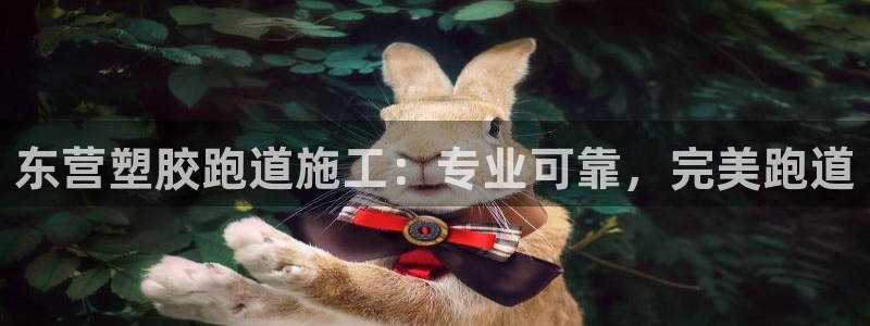 尊龙官网手：东营塑胶跑道施工：专业可靠，完美跑道