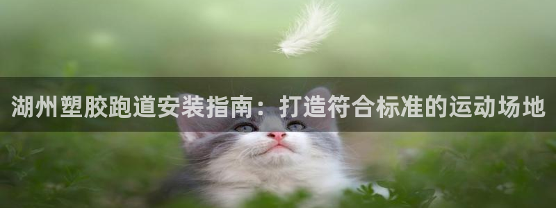 尊龙d88官网赢来就送38：湖州塑胶跑道安装指南：打