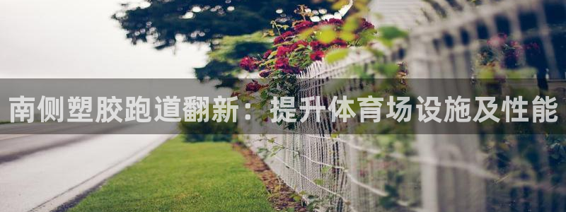 尊龙t500和t300区别：南侧塑胶跑道翻新：提升体