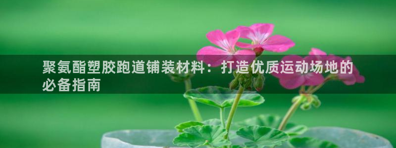 尊龙手机客户端app：聚氨酯塑胶跑道铺装材料：打造优