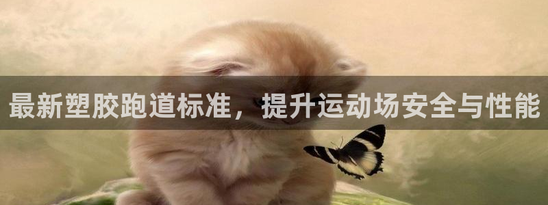 尊龙d88现金关注ag发财网：最新塑胶跑道标准，提升运动场安全与性能