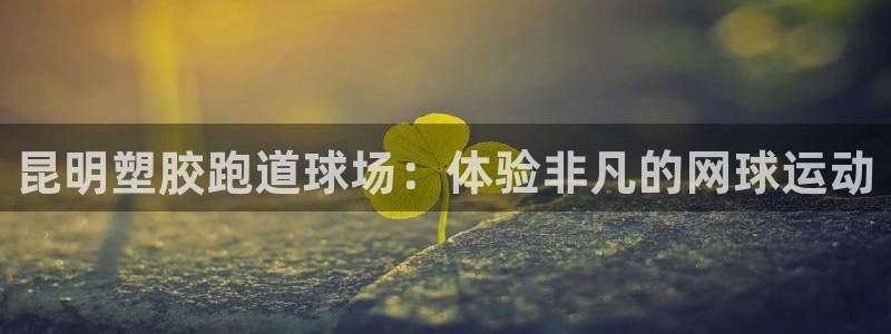 尊龙凯时人生就是搏首页：昆明塑胶跑道球场：体验非凡的网球运动