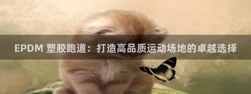 尊龙人生就是搏：EPDM 塑胶跑道：打造高品质运动场地的卓越选择