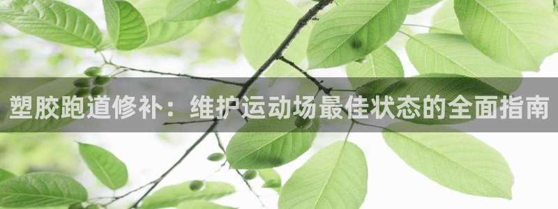 尊龙凯时取钱很慢：塑胶跑道修补：维护运动场最佳状态的