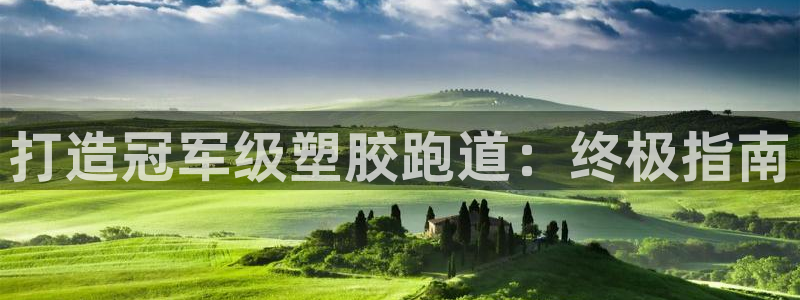 尊龙目前在哪：打造冠军级塑胶跑道：终极指南