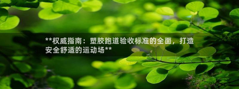 尊龙凯时v7要冲多少：**权威指南：塑胶跑道验收标准的全面，打造
安全舒适的运动场**