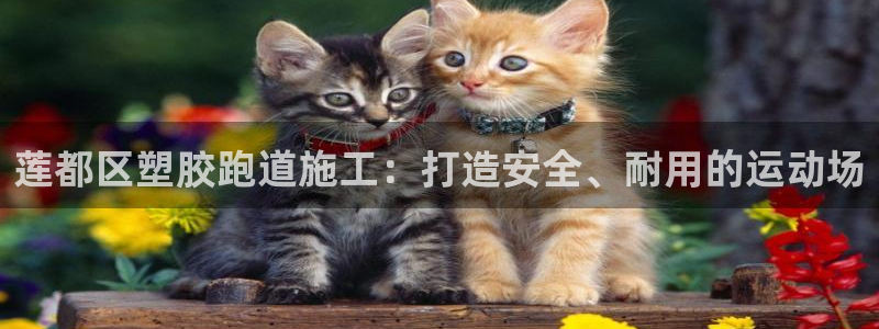 尊龙官方APP下载：莲都区塑胶跑道施工：打造安全、耐用的运动场
