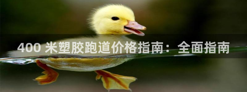 尊龙网站人生就是博：400 米塑胶跑道价格指南：全面指南