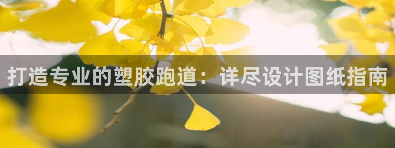 尊龙凯时ag旗舰厅：打造专业的塑胶跑道：详尽设计图纸指南